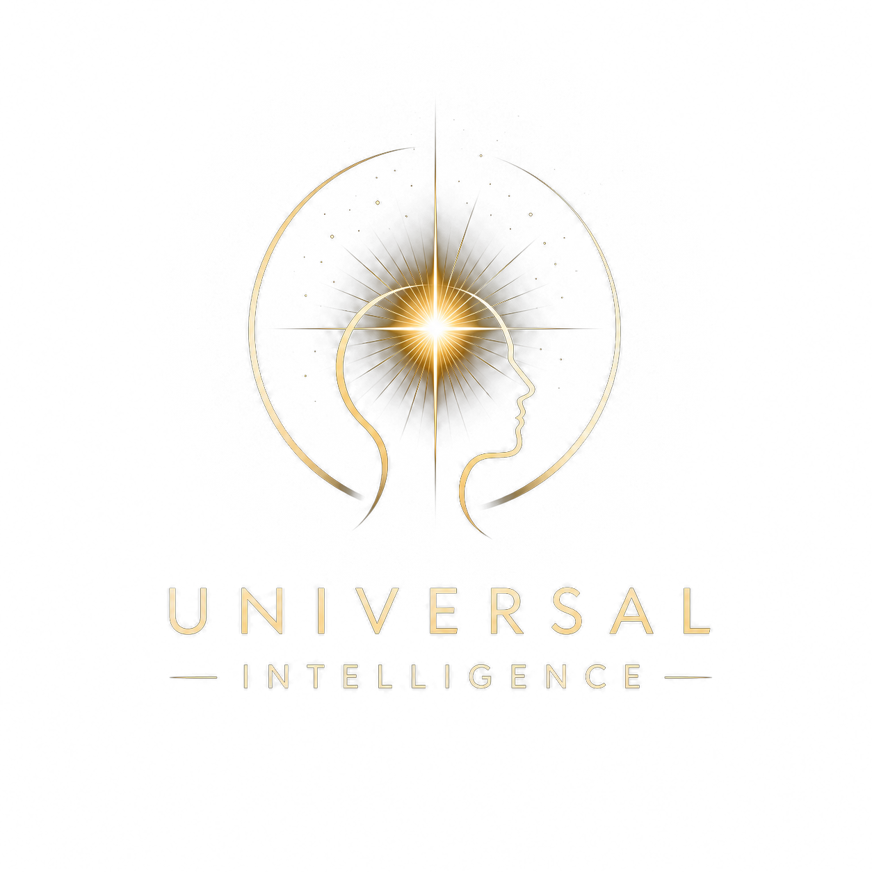 Universal Intelligence